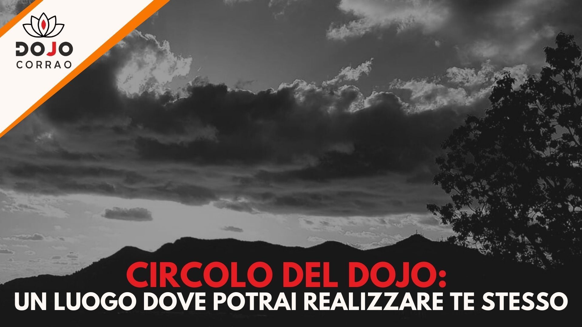 Circolo del Dojo