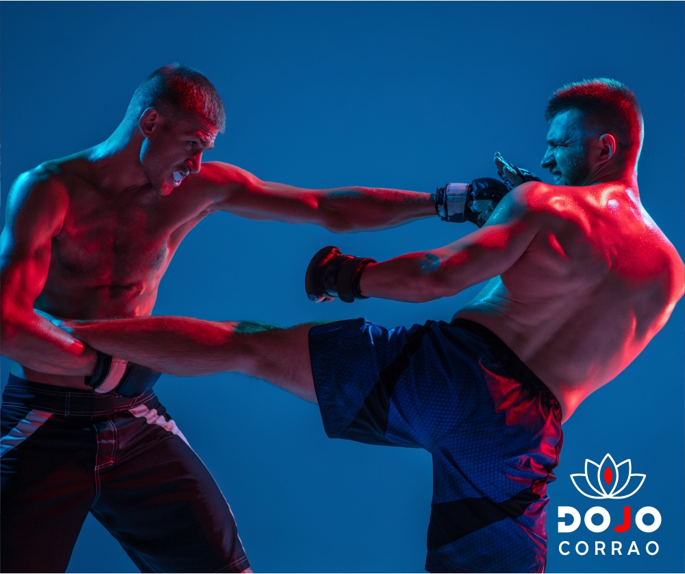 MMA Sanda