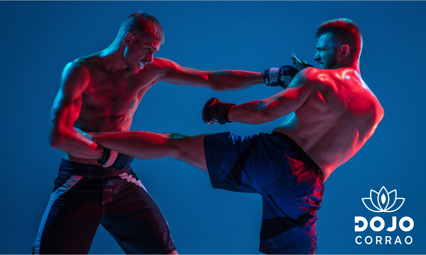 MMA Sanda