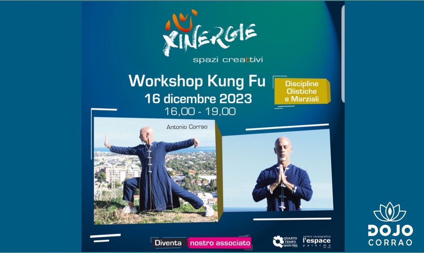 Workshop Kung Fu